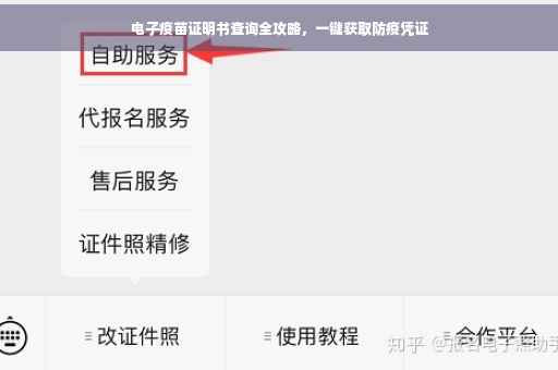 电子疫苗证明书查询全攻略，一键获取防疫凭证