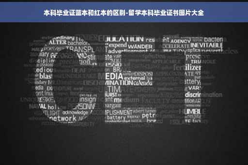 本科毕业证蓝本和红本的区别-留学本科毕业证书图片大全