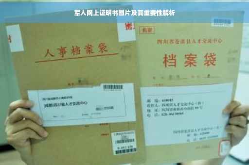 军人网上证明书图片及其重要性解析
