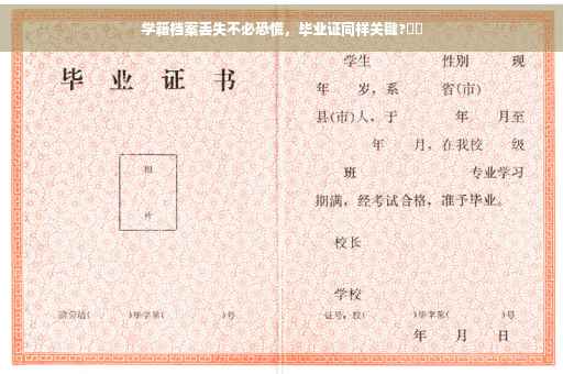 学籍档案丢失不必恐慌，毕业证同样关键?⚡️