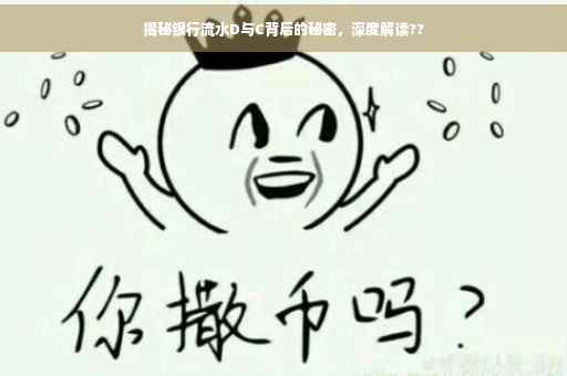 揭秘银行流水D与C背后的秘密，深度解读??