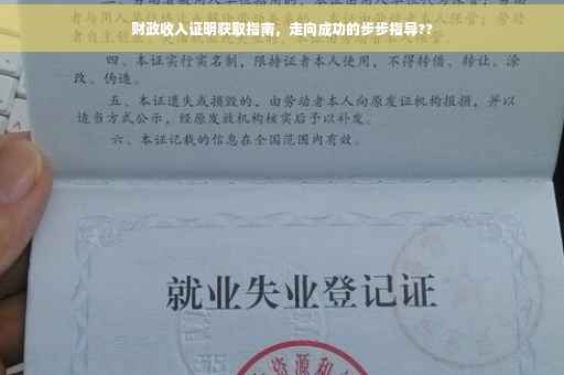 财政收入证明获取指南，走向成功的步步指导??