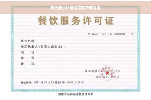 银行流水记录深度解析与解读