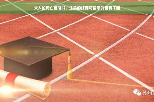 夫人的死亡证明书，生命的终结与情感的百转千回
