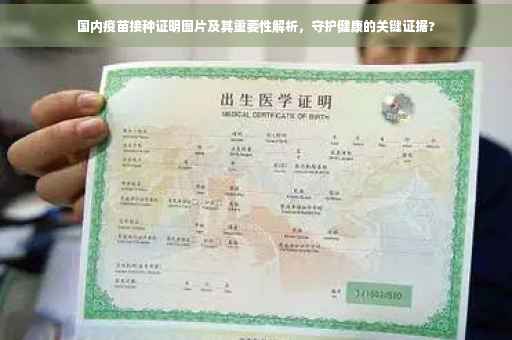 国内疫苗接种证明图片及其重要性解析，守护健康的关键证据?