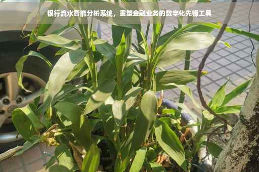 银行流水智能分析系统，重塑金融业务的数字化先锋工具
