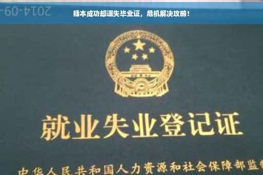 插本成功却遗失毕业证，危机解决攻略！