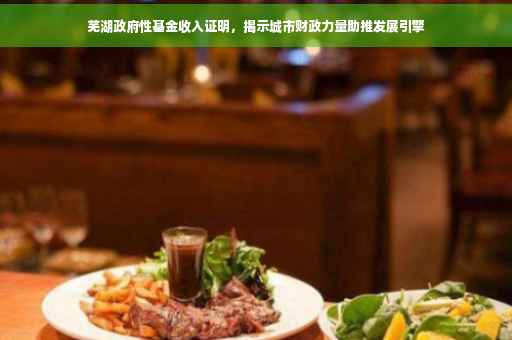 芜湖政府性基金收入证明，揭示城市财政力量助推发展引擎