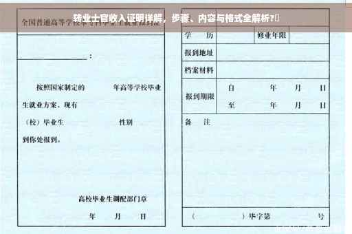 转业士官收入证明详解，步骤、内容与格式全解析?✨
