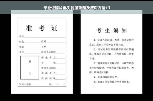 毕业证照片丢失找回攻略及应对方法?✨