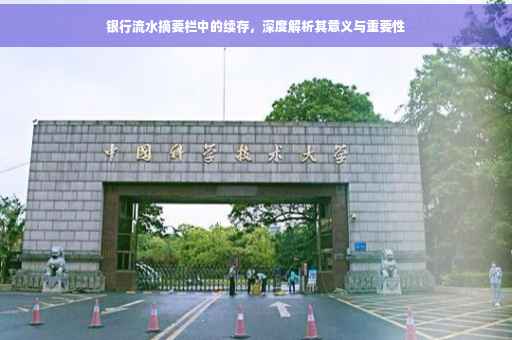 银行流水摘要栏中的续存，深度解析其意义与重要性