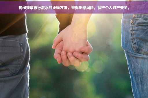 揭秘提取银行流水的正确方法，警惕犯罪风险，保护个人财产安全。