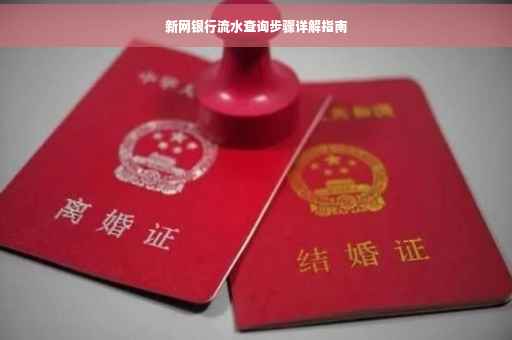 新网银行流水查询步骤详解指南