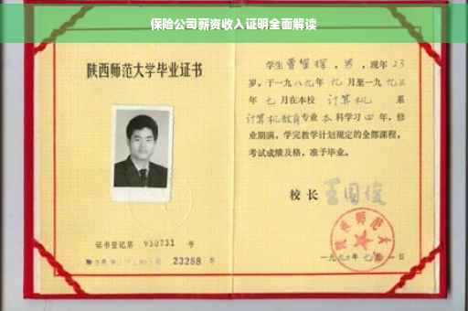 保险公司薪资收入证明全面解读