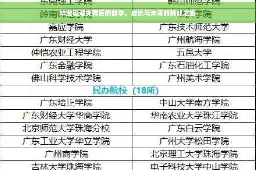 毕业证遗失背后的故事，成长与未来的挑战之旅