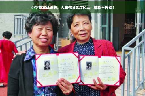 小学毕业证遗失，人生依旧笑对风云，精彩不停歇！