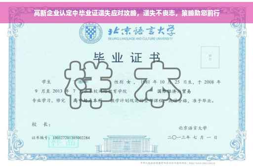 高新企业认定中毕业证遗失应对攻略，遗失不丧志，策略助您前行