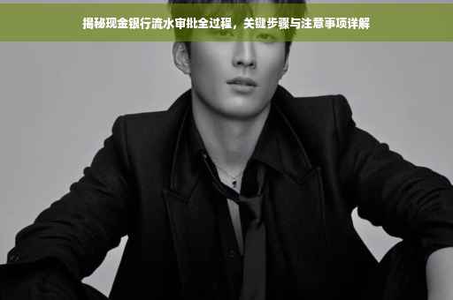 揭秘现金银行流水审批全过程，关键步骤与注意事项详解