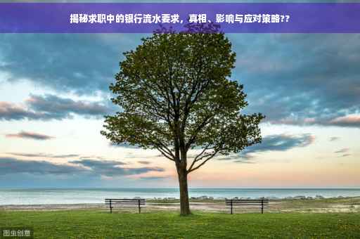 揭秘求职中的银行流水要求，真相、影响与应对策略??