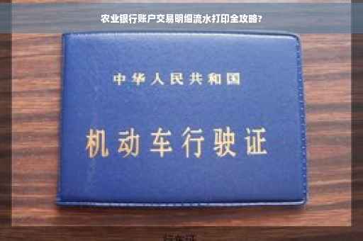 农业银行账户交易明细流水打印全攻略?