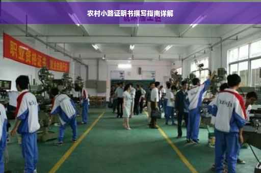 农村小路证明书撰写指南详解