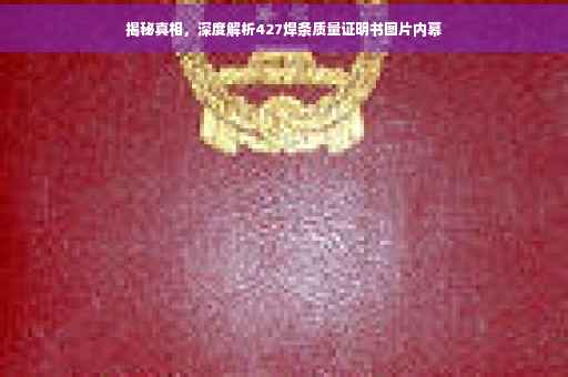 揭秘真相，深度解析427焊条质量证明书图片内幕