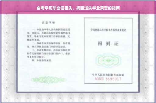 自考学历毕业证丢失，找回遗失学业荣誉的指南