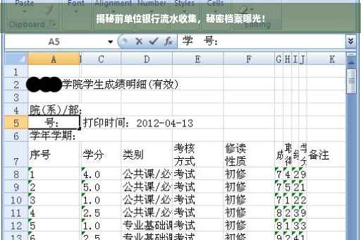 揭秘前单位银行流水收集，秘密档案曝光！