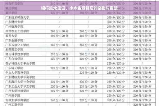 银行流水见证，小本生意背后的辛勤与智慧
