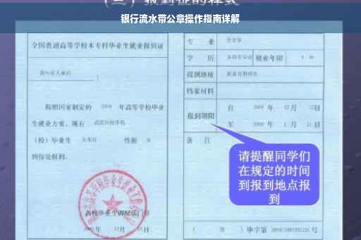 银行流水带公章操作指南详解