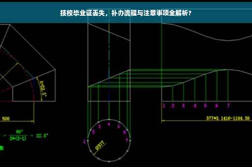 技校毕业证丢失，补办流程与注意事项全解析?