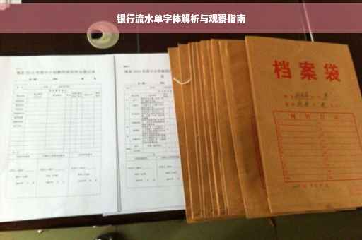 银行流水单字体解析与观察指南