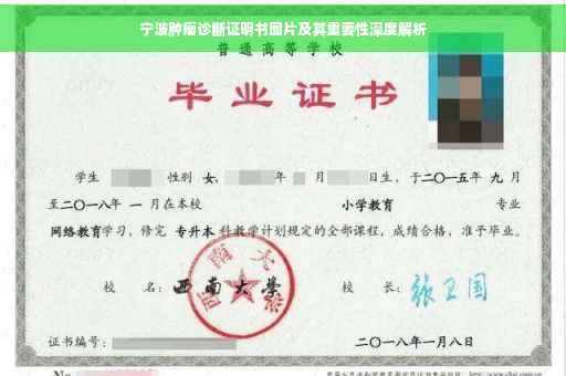 宁波肿瘤诊断证明书图片及其重要性深度解析
