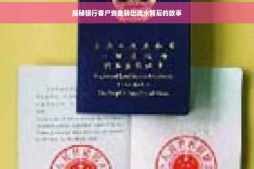 揭秘银行客户资金转出流水背后的故事