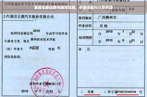 更换车牌证明书撰写指南，步骤详解与注意事项