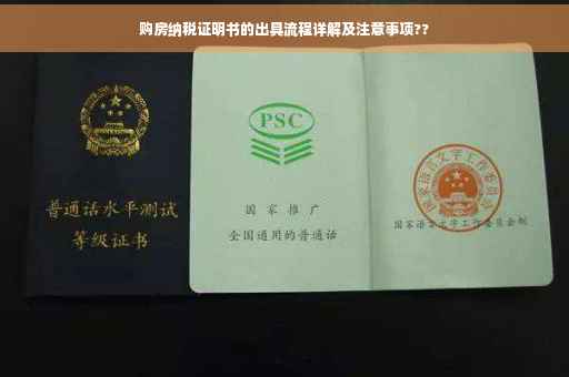 购房纳税证明书的出具流程详解及注意事项??