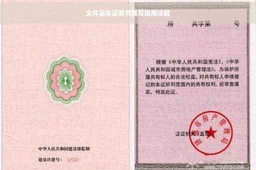 文件丢失证明书撰写指南详解