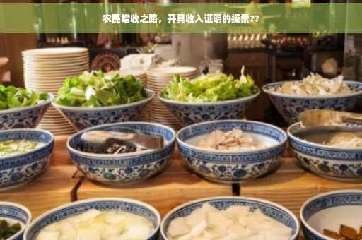 农民增收之路，开具收入证明的探索??