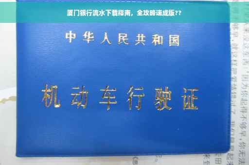 厦门银行流水下载指南，全攻略速成版??