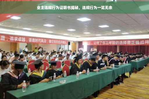 业主违规行为证明书揭秘，违规行为一览无余