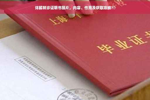 详解就诊证明书图片，内容、作用及获取攻略?✨