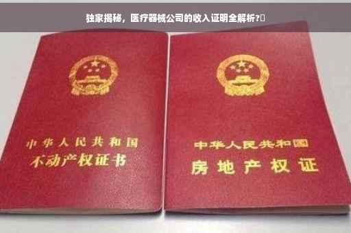 独家揭秘，医疗器械公司的收入证明全解析?✨