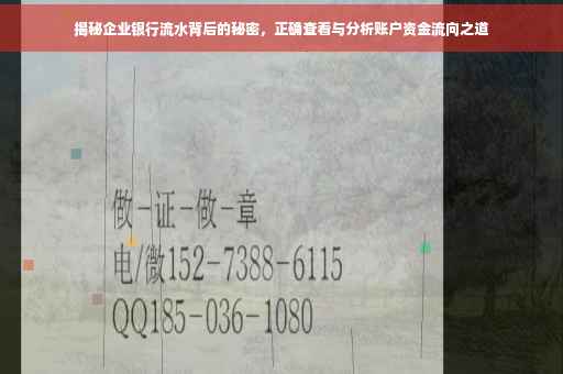 揭秘企业银行流水背后的秘密，正确查看与分析账户资金流向之道