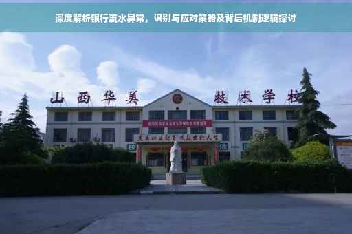 深度解析银行流水异常，识别与应对策略及背后机制逻辑探讨