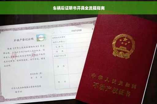 车祸后证明书开具全流程指南