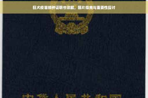 狂犬疫苗接种证明书详解，图片指南与重要性探讨