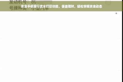 农业手机银行流水打印功能，便捷理财，轻松掌握资金动态