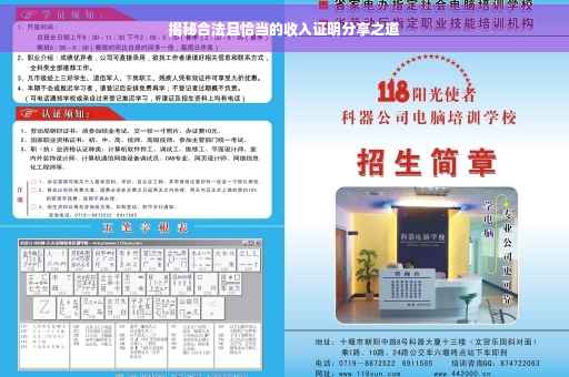 揭秘合法且恰当的收入证明分享之道