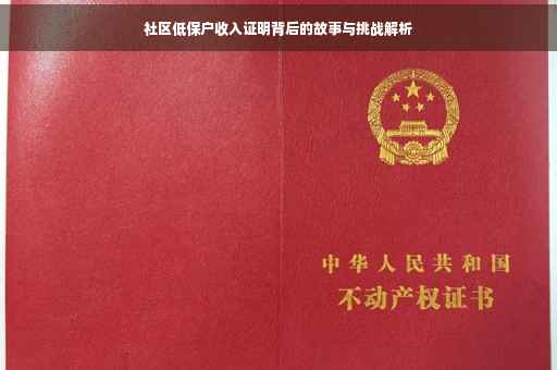 社区低保户收入证明背后的故事与挑战解析