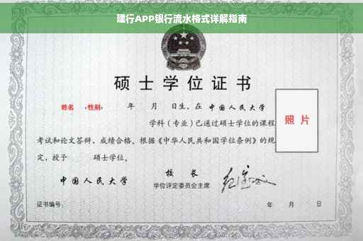 建行APP银行流水格式详解指南